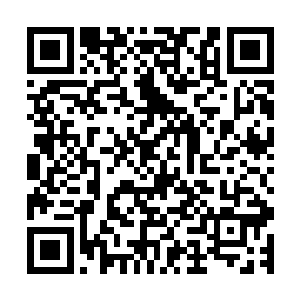 老奴之前修炼的功法正是一次无意中获得的土属性的天武圣典二维码生成