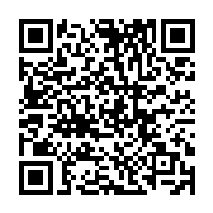 老奴是奉了皇后娘娘的命令在此查看进宫女眷的名贴二维码生成