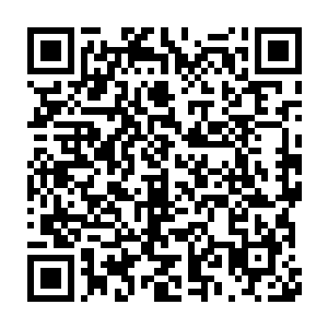 老妇人和大将军双双含泪对那扮成大将军父亲模样的王者大声的哭喊着二维码生成