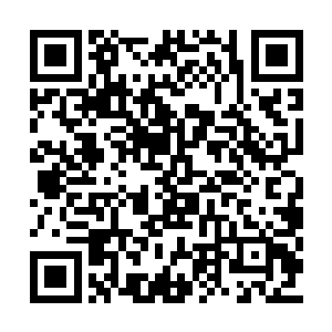 老妈一边说着话一边拿起筷子放到了白奇雪手里二维码生成