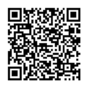 老妈和老爸听了雅文的话脸上的表情都放松了不少二维码生成