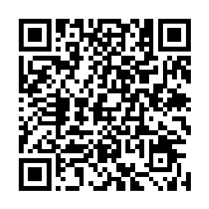 老妖怪顿时只有忍气吞声的掏出了一支光芒闪闪的红珊瑚道二维码生成