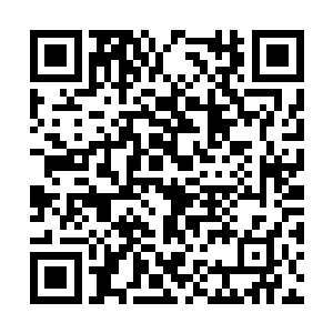 老婆婆似乎很开心白芷璃在白府呆了这么多年一样二维码生成