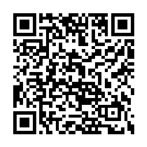 老子一个厨子和你们这些文坛巨子有个什么聊的二维码生成