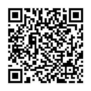老子出了弱水之渊第一件事就是拆掉你的金翅大鹏府二维码生成