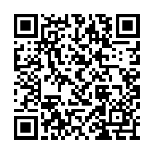 老子就在马力克的店铺屋顶上瞄着你的楼梯口呢二维码生成