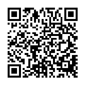 老子现在真是有些迫不及待的想要看看那两个老杂毛的表情二维码生成