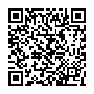 老子要当着残梁上那十几具尸体的面活剥了他们二维码生成