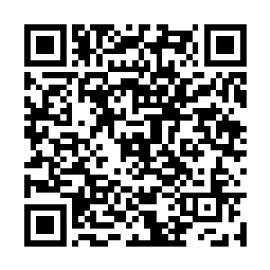 老子记得安风的身边有一个得力的助手叫什么的丽二维码生成