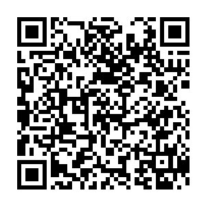 老孙只是太着急破案了……不知道你的助理当晚有没有跟你在一起二维码生成