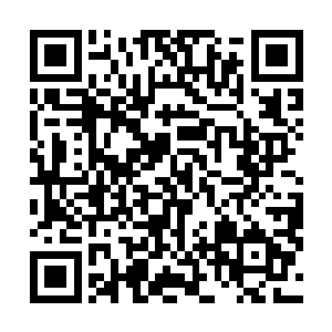 老宅的晚饭梁娇娇到厨屋里看着梁妈妈和陈妈妈俩人做的二维码生成