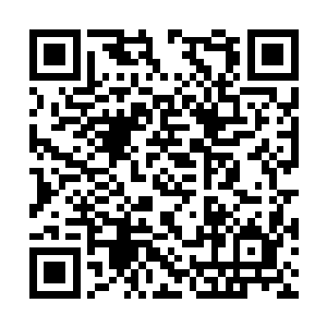 老实不客气的把所有的龙之泪都装在了那个口袋里二维码生成