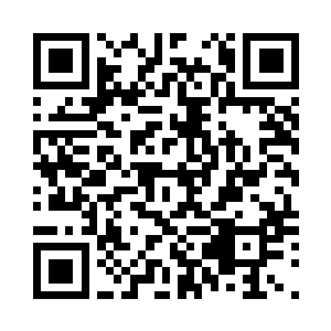 老实的坐在一旁的石头上守着鱼篓子二维码生成