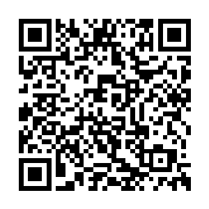 老实说牟晨菲是想叫巴克过来给她把鞋擦干净的二维码生成