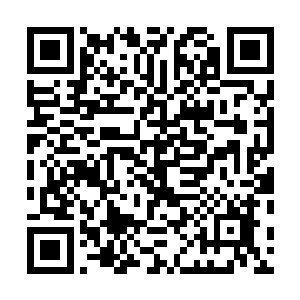老实说连管理一个赚钱公司的事情贝海都不想浪费脑细胞二维码生成