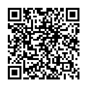 老实说那边岛上的猪啊什么的和国内市场上的比的确好多了二维码生成