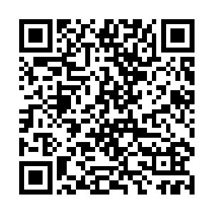 老将米勒古单膝跪地抱拳谢过李元昊的仁慈之后又说二维码生成