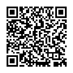 老巫婆将十几颗拇指大小的水晶缚魂球一字排开二维码生成