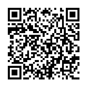 老布鲁克的一字一句如同炸弹一般轰炸在罗克特的脑海之中二维码生成