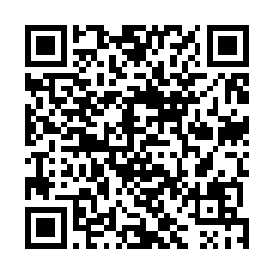 老师……老师真的怕……怕高……不敢……不敢跳啊……二维码生成