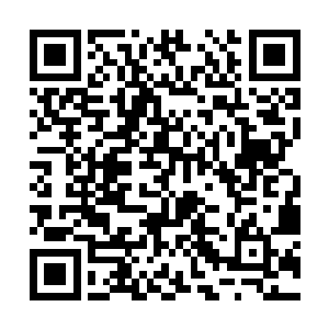 老师你知道的……驸马爷爷的回函一定已经到了……二维码生成