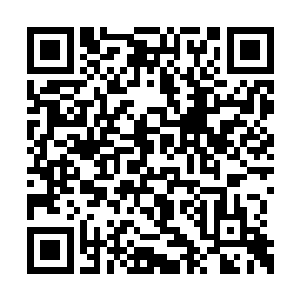 老师应该始终是那个和自己一样痴迷于兰花的人二维码生成