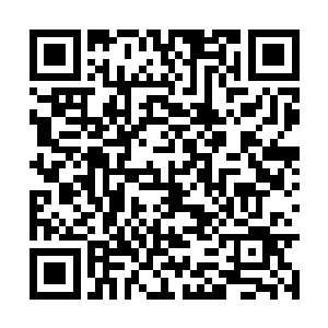 老弟子有着外界所无法比拟的修炼环境和修炼资源二维码生成