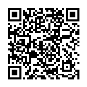 老徐这个胖子望了两人一眼笑了笑就准备转过头去二维码生成