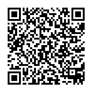 老徐这个胖子看着三大一小四人在自己旁边的车子边站定了就出声打起了招呼二维码生成