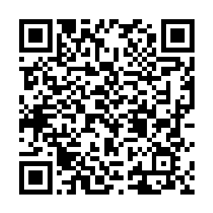 老族长和新生连声感叹－－白小飞不愧是东方的贤者啊二维码生成