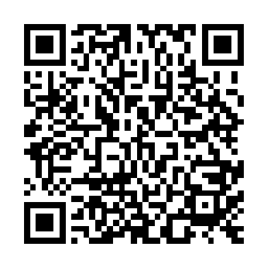 老朽还是第一次见到天然阵法竟然能够达到如此精妙的程度的二维码生成