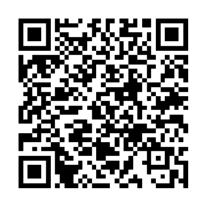 老杰克却是伸出了自己的右手握住了萨摩拉的右手二维码生成