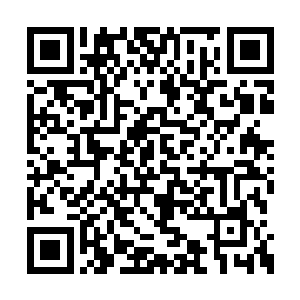 老板娘本就打算回来问问杨开和厨子等人的意见二维码生成