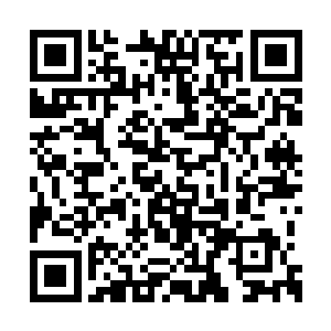 老板娘的脸上还有一道看起来触目惊心的手掌印二维码生成