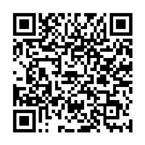 老板娘转头看到对面的金在珉之后立刻发出了一声感叹二维码生成