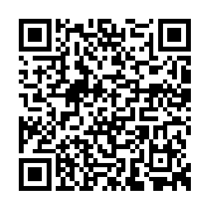 老板已经溜达着穿过满是松叶的停车空地边池塘二维码生成