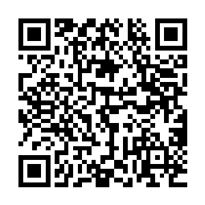 老树人从天空之怒口中得知马文曾经出入过世界树内部的消息二维码生成