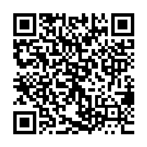 老树人的一番话才是让他下定决心前往血色荒原更关键的因素二维码生成