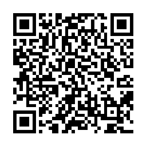 老爷上次不是说老太太大丧期间不限制前来吊唁的人了么二维码生成