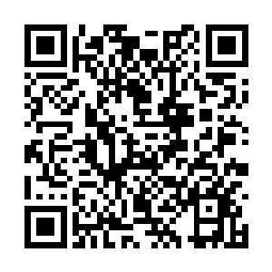 老爷不是将洛水嫣许配给了南宫家族的南宫璟月么二维码生成