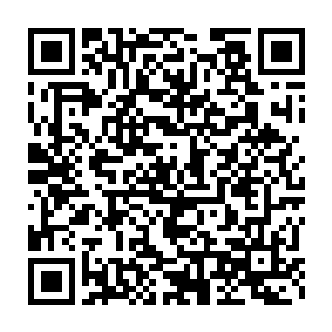 老爷子也是伸出来自己略显有那么一些干苍的手摸着两个小家伙的脸蛋二维码生成