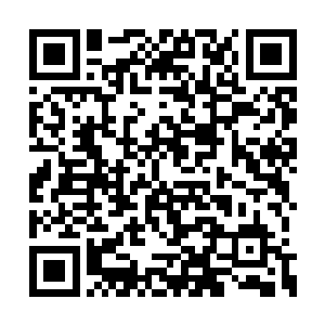 老爷子也是实诚人每条狗都给贝海拍了至少一张二维码生成