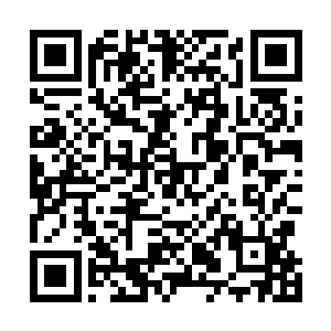 老爷子的话语如同重锤一般重重敲击在李功岩两兄弟心口二维码生成