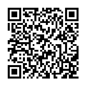 老王显然是还没有从他刚才的事情之中反应过来二维码生成