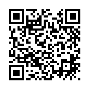 老白那风华绝代的身影出现在了一颗椰子树下二维码生成