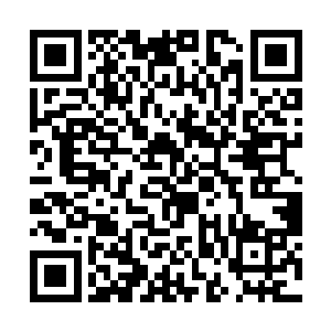 老祖宗千里迢迢从云上云将这只神级药鼎带过来的啊二维码生成