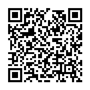 老祖宗巍巍颤颤地将手中的北辰麟交给了东方青妍二维码生成