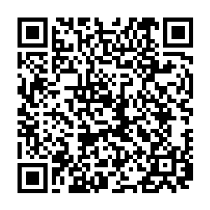 老祭司盯着那雪白的汤汁和汤里那起起伏伏的散发着清香的蘑菇看了半天二维码生成