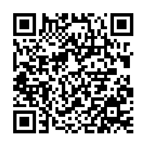 老祭祀和几个有重要话语权的老猎手都纷纷的表明了立场二维码生成