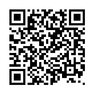 老老实实地当自己的周里乡党委书记二维码生成